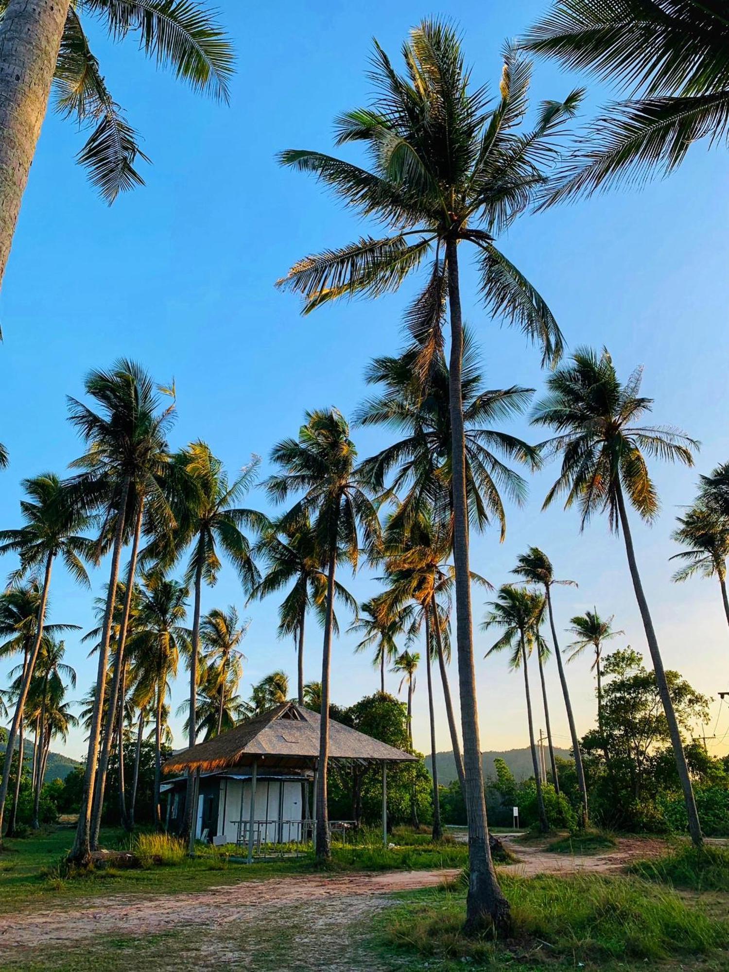 Backpack Hostel Kohyaoyai Ko Yao المظهر الخارجي الصورة